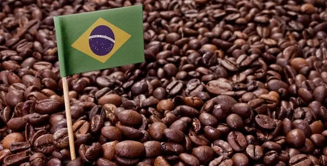 brazil-coffee-production