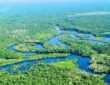 Amazon Rainforest, South America