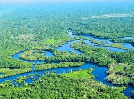 Amazon Rainforest, South America