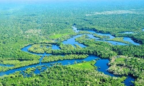 Amazon Rainforest, South America