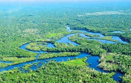 Amazon Rainforest, South America