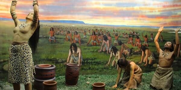Animism and Shamanism