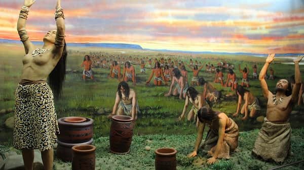 Animism and Shamanism