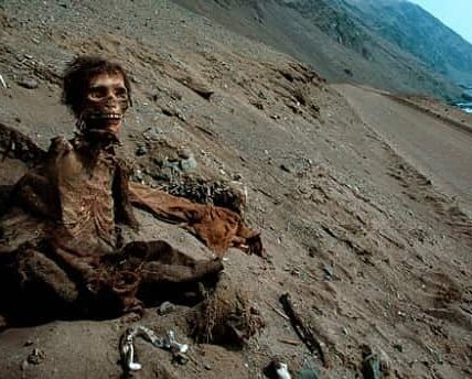 Chinchorro Mummies, Chile