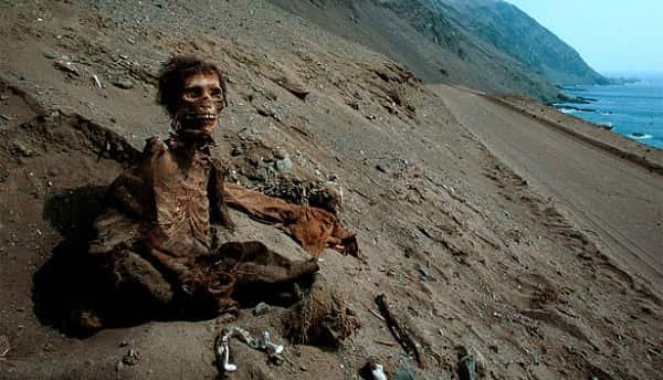 Chinchorro Mummies, Chile