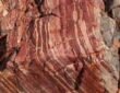 Apex Chert Microfossils, Australia