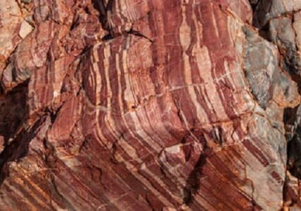 Apex Chert Microfossils, Australia