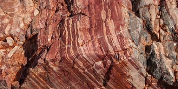 Apex Chert Microfossils, Australia