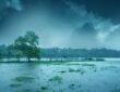 Kerala's Monsoon