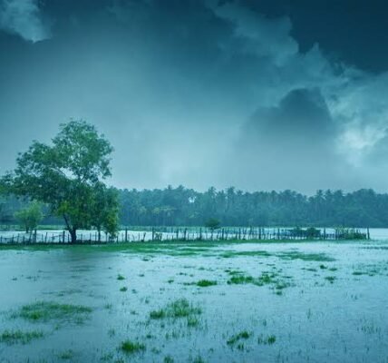 Kerala's Monsoon