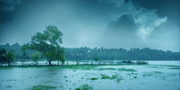Kerala's Monsoon