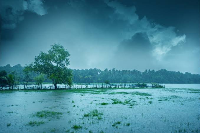 Kerala's Monsoon